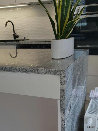 lubkam_blat_20220209_124622