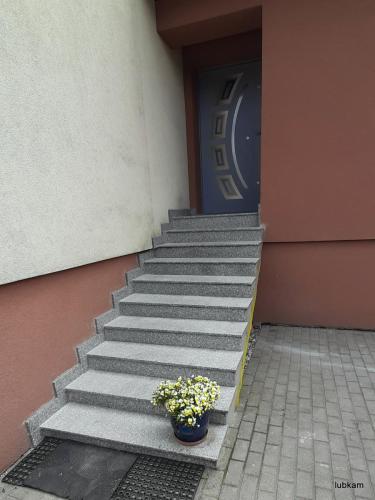 lubkam_schody_20210626_135109